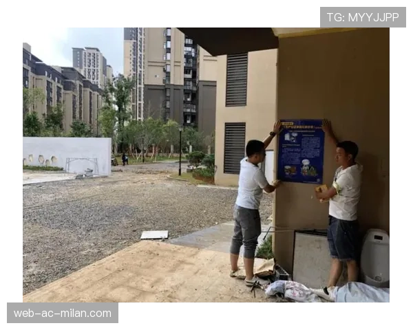 球迷区官方互动区志愿者违规处理与教育整改公告
